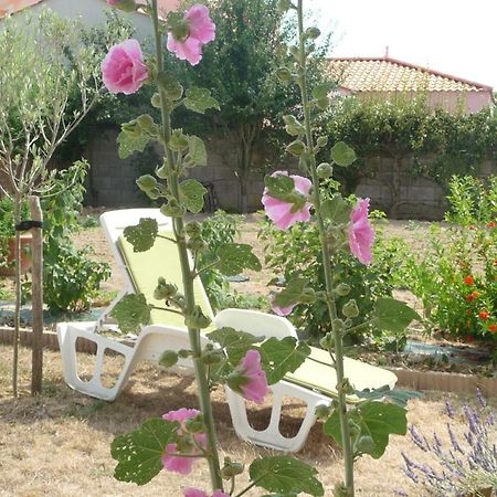 Chambre D'Hote Fleur De Potager Les Sables-d'Olonne Exterior photo