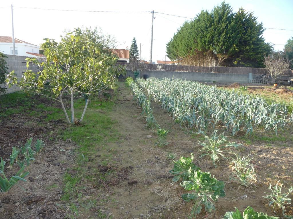Chambre D'Hote Fleur De Potager Les Sables-d'Olonne Exterior photo