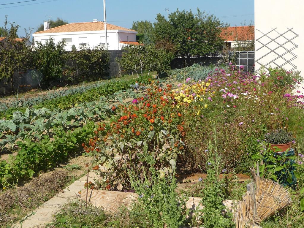Chambre D'Hote Fleur De Potager Les Sables-d'Olonne Exterior photo
